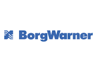 BWA BorgWarner BERU