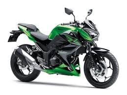 Z 300