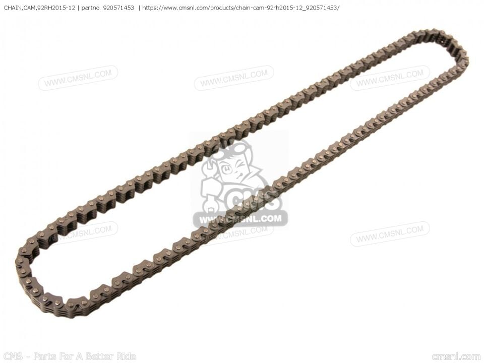 98-03 kawasaki zx9r eksantrik zinciri zx 9 eksantrik zinciri orıjınal