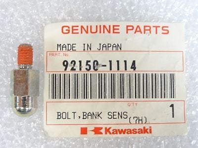 Kawasaki Versys 1000/EN 500/ZX-6R Arka Basamak Viraj Cıvatası