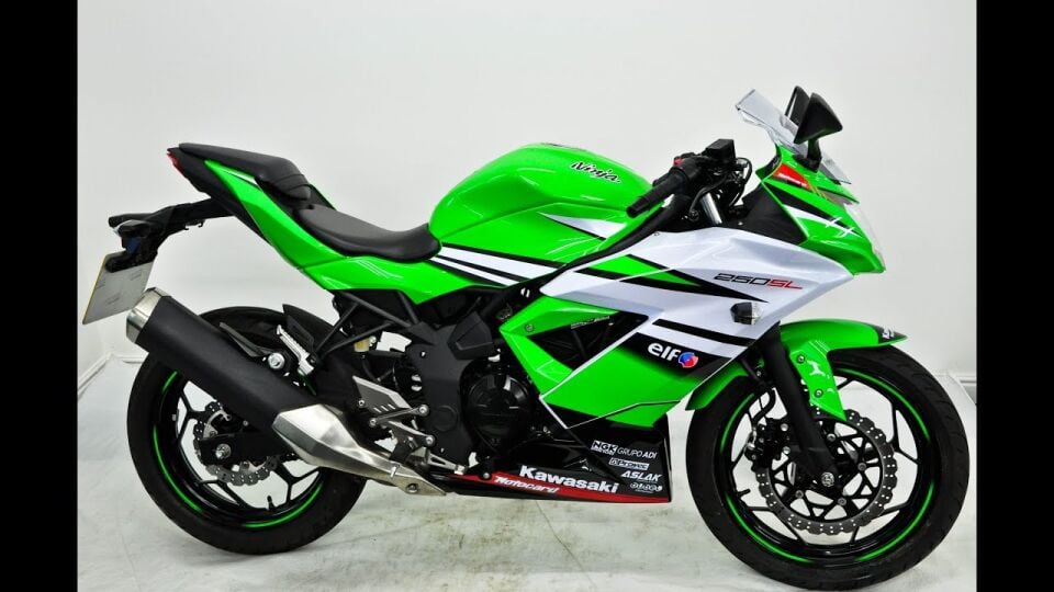 Kawasaki Ninja 250 SL Sağ Alt Sakal Siyah WSM Model