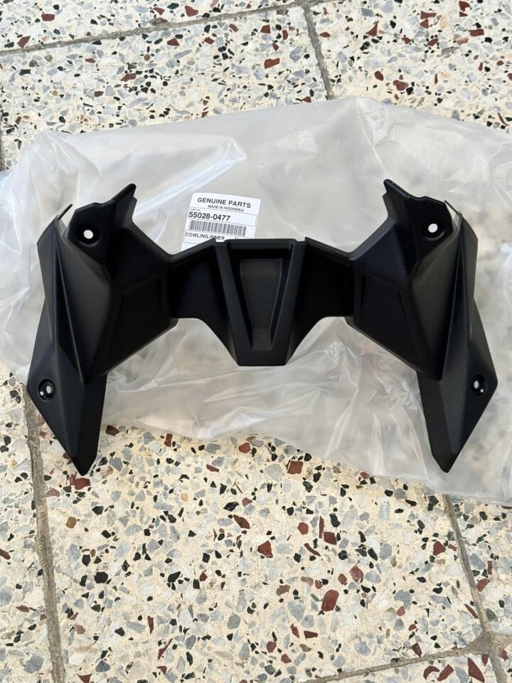 Kawasaki Ninja 250 SL Kilometre Çerçevesi Panzolotu