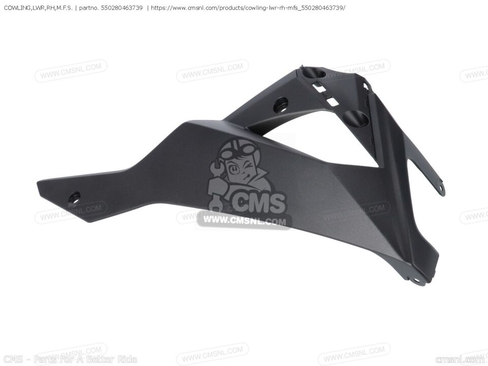 kawasaki z 300 sağ alt sakal z300 sağ alt sakal siyah renk