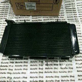 Kawasaki Ninja 250 SL Radyatör Z 250 Sl Radyatör Sıfır Orijinal