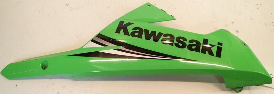 Kawasaki Ninja 300 Sağ Alt Sakal